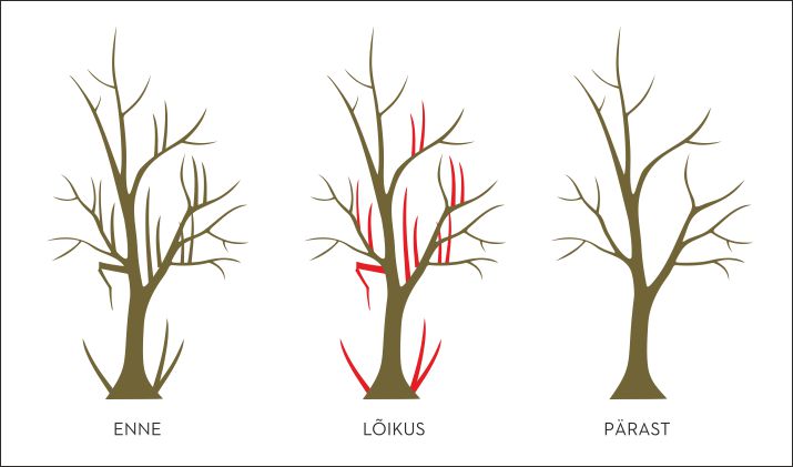 Robotniidukid Robotniidukid